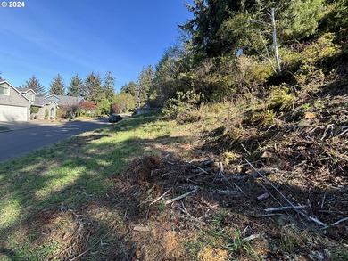 Fantastic views from this over 1/2 acre lot, located in - photo 10