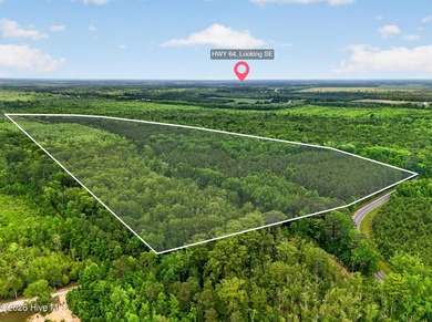 46.52 +/- Acres of Wooded Land - Washington County, NC Discover - photo 1