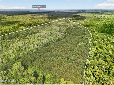 46.52 +/- Acres of Wooded Land - Washington County, NC Discover - photo 2