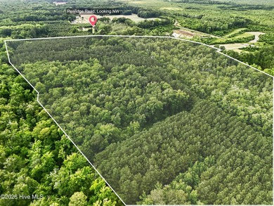 46.52 +/- Acres of Wooded Land - Washington County, NC Discover - photo 3