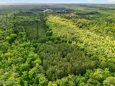 46.52 +/- Acres of Wooded Land - Washington County, NC Discover - photo 6