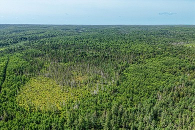This 80-acre property is situated within the Ottawa National - photo 14