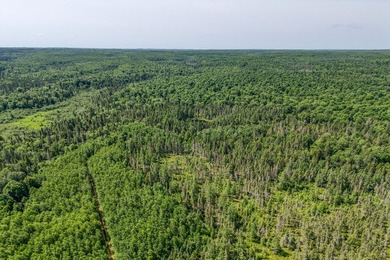 This 80-acre property is situated within the Ottawa National - photo 15
