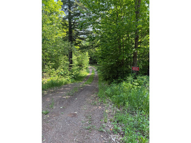 This 80-acre property is situated within the Ottawa National - photo 17