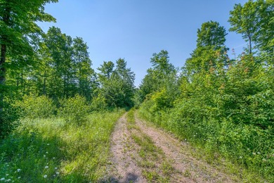 This 80-acre property is situated within the Ottawa National - photo 20