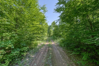 This 80-acre property is situated within the Ottawa National - photo 21