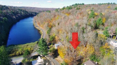 Lake Lot For Sale in Woodbourne, New York