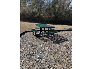 Welcome to Willow Oaks Community in Havelock, NC - where modern - photo 4