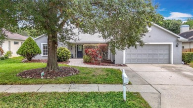 Lake Home For Sale in Palm Harbor, Florida