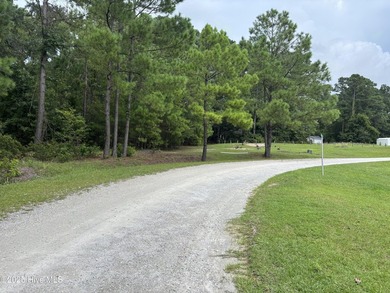 Large 0.35 Acre Private Lot with NO HOA, is NOT in a flood zone - photo 3