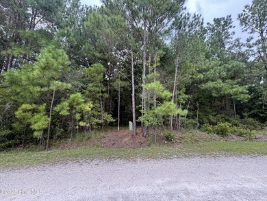 Large 0.35 Acre Private Lot with NO HOA, is NOT in a flood zone - photo 4