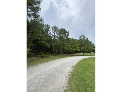 Large 0.35 Acre Private Lot with NO HOA, is NOT in a flood zone - photo 8