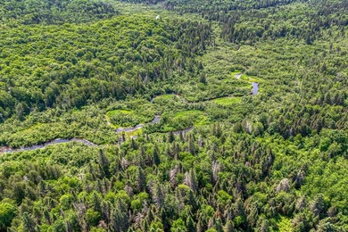 This 120-acre property is situated within the Ottawa National - photo 17