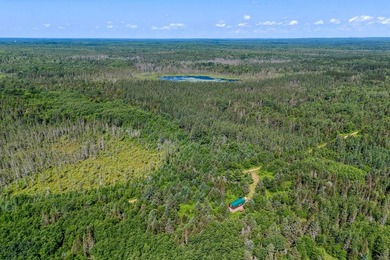 This 120-acre property is situated within the Ottawa National - photo 18