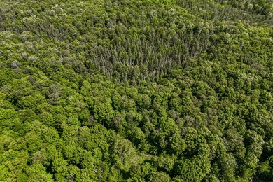 This 120-acre property is situated within the Ottawa National - photo 21