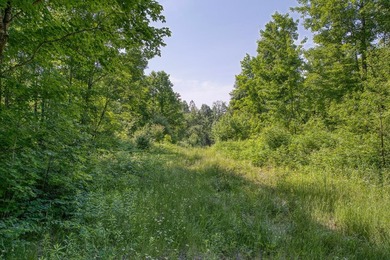 This 120-acre property is situated within the Ottawa National - photo 31