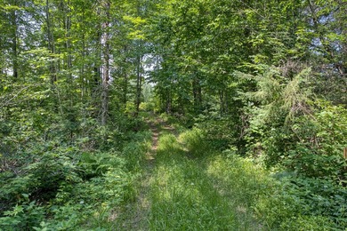 This 120-acre property is situated within the Ottawa National - photo 35