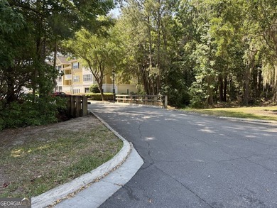 Rare opportunity for a good investment in a resort community - photo 45