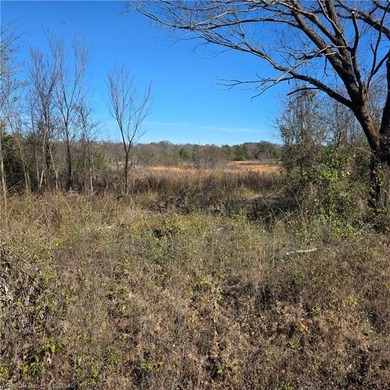 Discover wide-open potential on this spacious 10.51-acre tract - photo 2