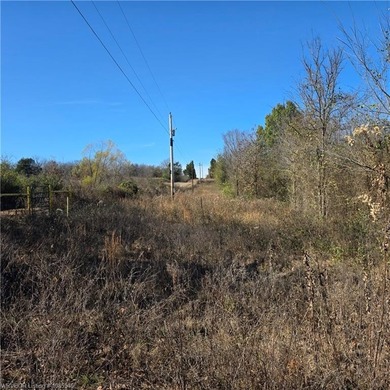 Discover wide-open potential on this spacious 10.51-acre tract - photo 3