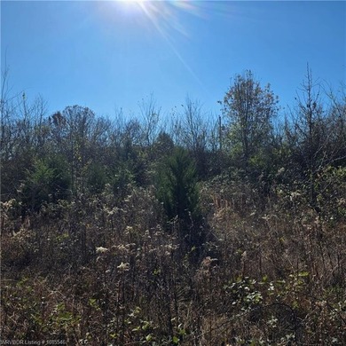 Discover wide-open potential on this spacious 10.51-acre tract - photo 4