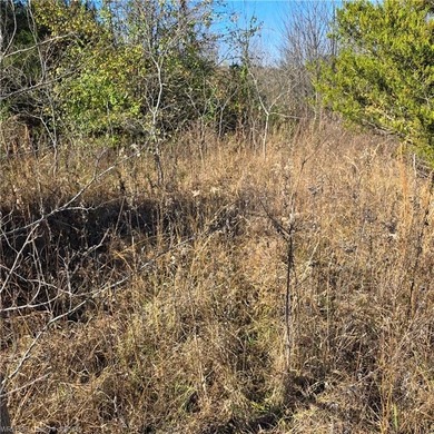 Discover wide-open potential on this spacious 10.51-acre tract - photo 6