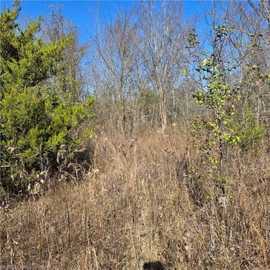 Discover wide-open potential on this spacious 10.51-acre tract - photo 9