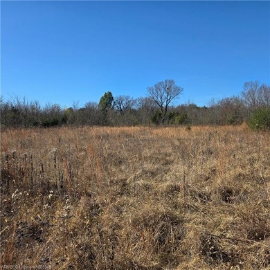 Discover wide-open potential on this spacious 10.51-acre tract - photo 10