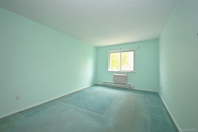 Legal semi-detached 2-family home in desirable Whitestone - photo 9