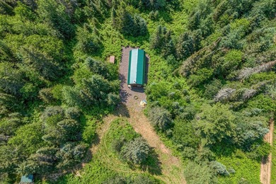 This 240-acre property is located within the Ottawa National - photo 16