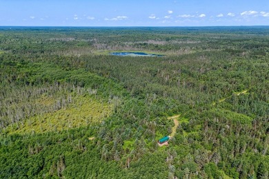 This 240-acre property is located within the Ottawa National - photo 18