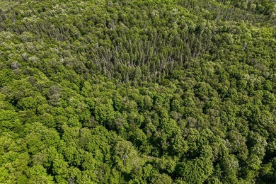 This 240-acre property is located within the Ottawa National - photo 21
