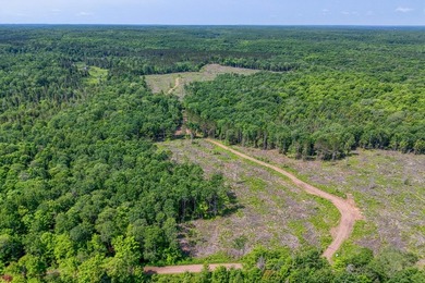 This 240-acre property is located within the Ottawa National - photo 22