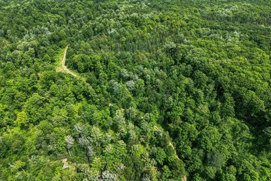 This 240-acre property is located within the Ottawa National - photo 23