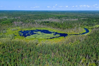 This 240-acre property is located within the Ottawa National - photo 24