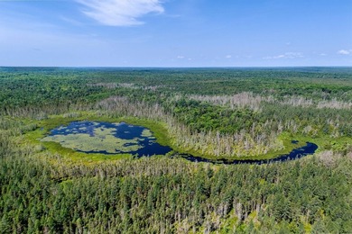 This 240-acre property is located within the Ottawa National - photo 27