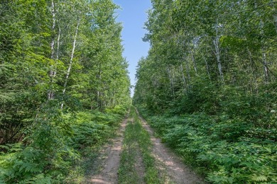 This 240-acre property is located within the Ottawa National - photo 35