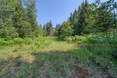 This 240-acre property is located within the Ottawa National - photo 36