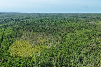 This 240-acre property is located within the Ottawa National - photo 39