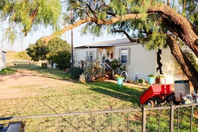 Lake Home For Sale in Colorado City, Texas