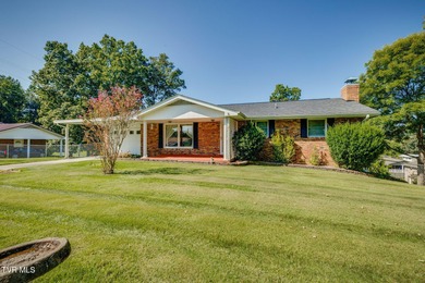 Holston River - Hawkins County Home For Sale in Mount Carmel Tennessee