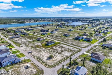 Located in the highly desirable NW Cape Coral area, this - photo 11