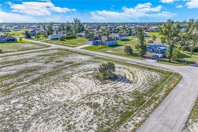 Located in the highly desirable NW Cape Coral area, this - photo 15