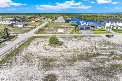 Located in the highly desirable NW Cape Coral area, this - photo 19