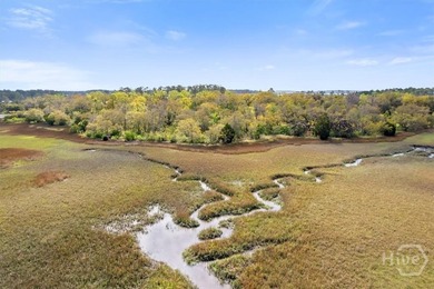 Coastal Living at its finest with marsh views on a .67 marsh - photo 24
