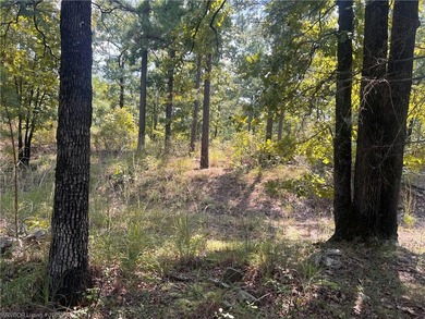 Kiamichi River Acreage Sale Pending in Whitesboro Oklahoma