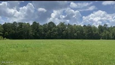 Pearl River Acreage Sale Pending in Silver Creek Mississippi