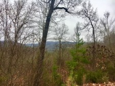 Welcome to Rock Harbor, on Norris Lake! - photo 2