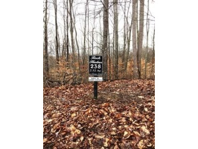 Welcome to Rock Harbor, on Norris Lake! - photo 11