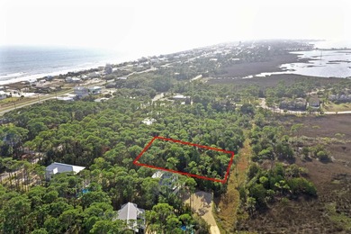 Rare bay view lot on St. George Island with unobstructed - photo 1